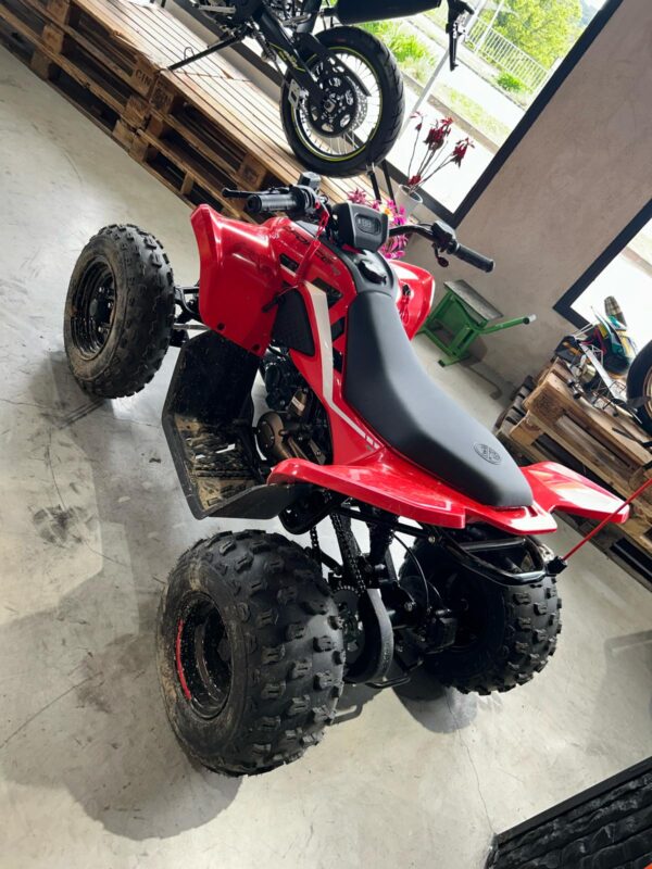 49€/Mes Quad infantil - Imagen 2